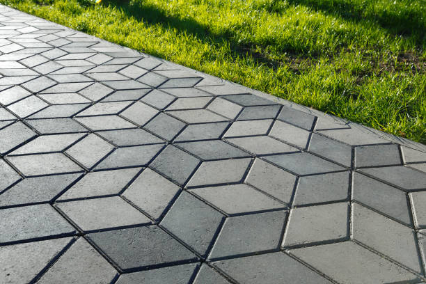 Best Driveway Paving Contractor  in Ramapo College Of New Jersey, NJ