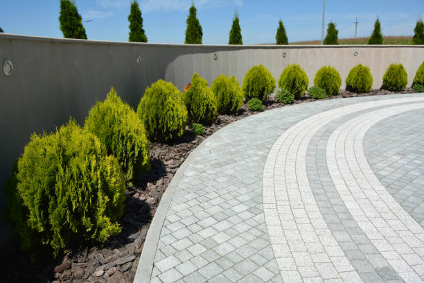 Best Professional Driveway Pavers  in Ramapo College Of New Jersey, NJ